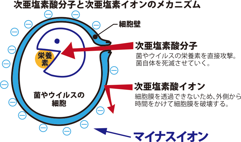 次亜塩素酸水