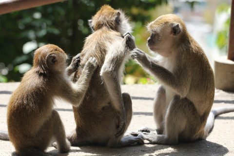 頭皮のかゆみの原因って？頭皮に優しいシャンプーを